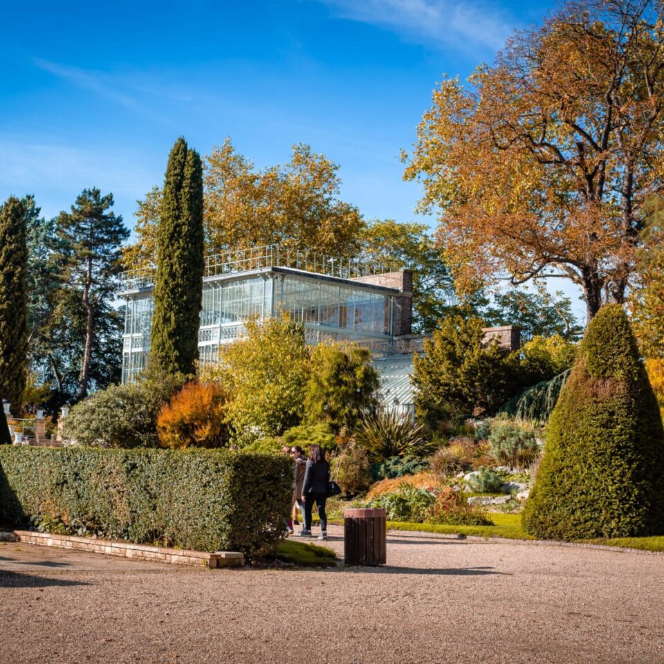 Jardin des plantes